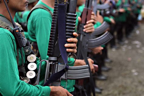 dpcr pnp meaning|PNP adopts NPA tactic to form ‘force multipliers’ .